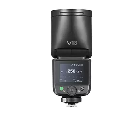 V1mid N
