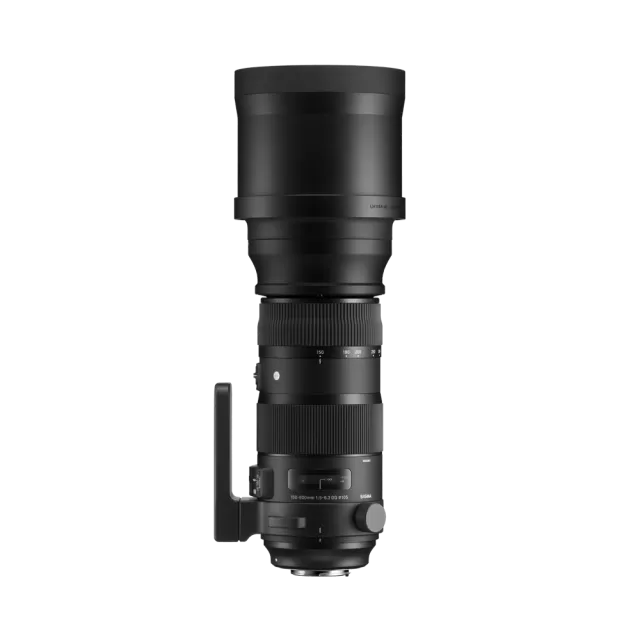 150-600mm F5-6.3 DG OS HSM | Sports (Canon EF mount)