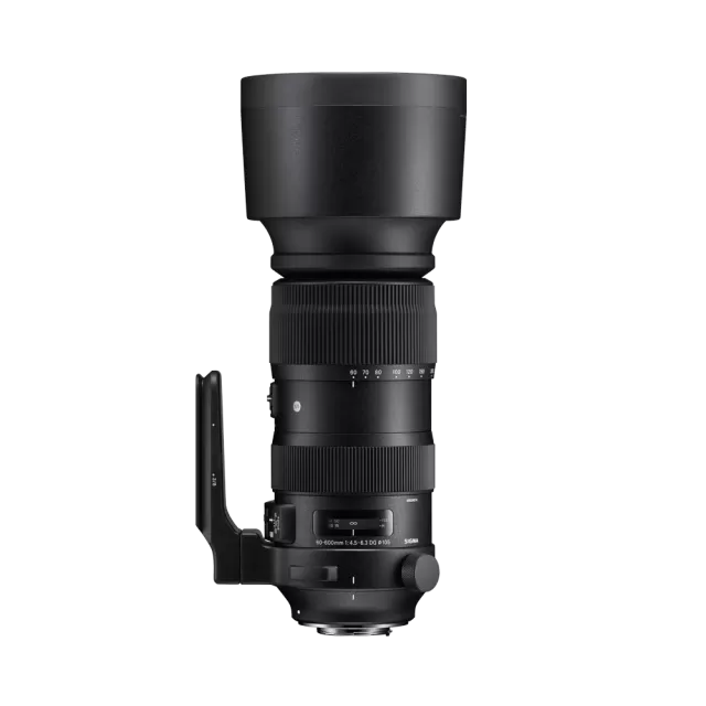 60-600mm F4.5-6.3 DG OS HSM | Sports (SIGMA SA-mount)
